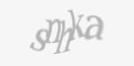 Защитный код