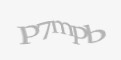 Защитный код