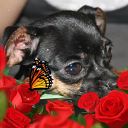 ♥Лора♥ Родионова