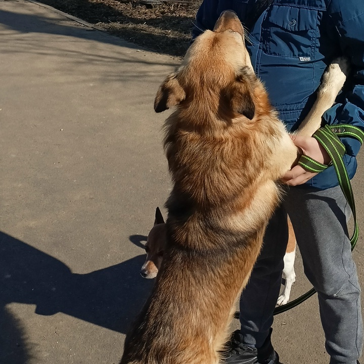 Хз Хз