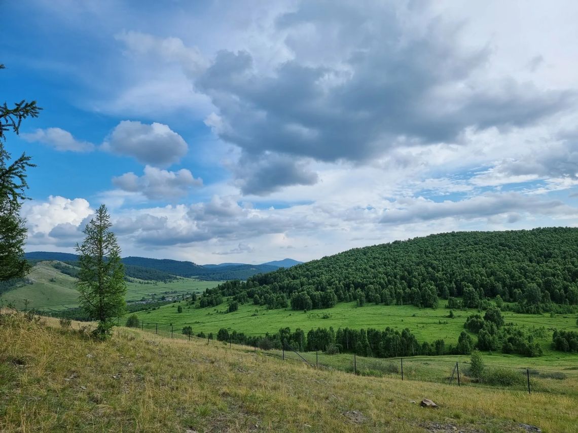 Ульрика