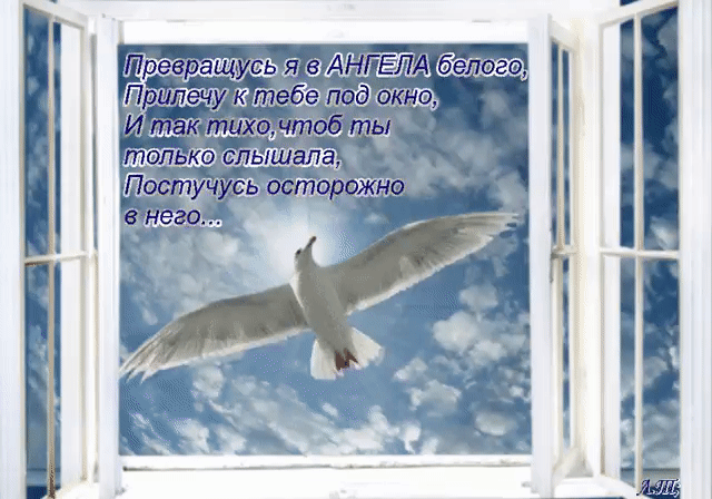 Текст изначально никто не живет на небесах