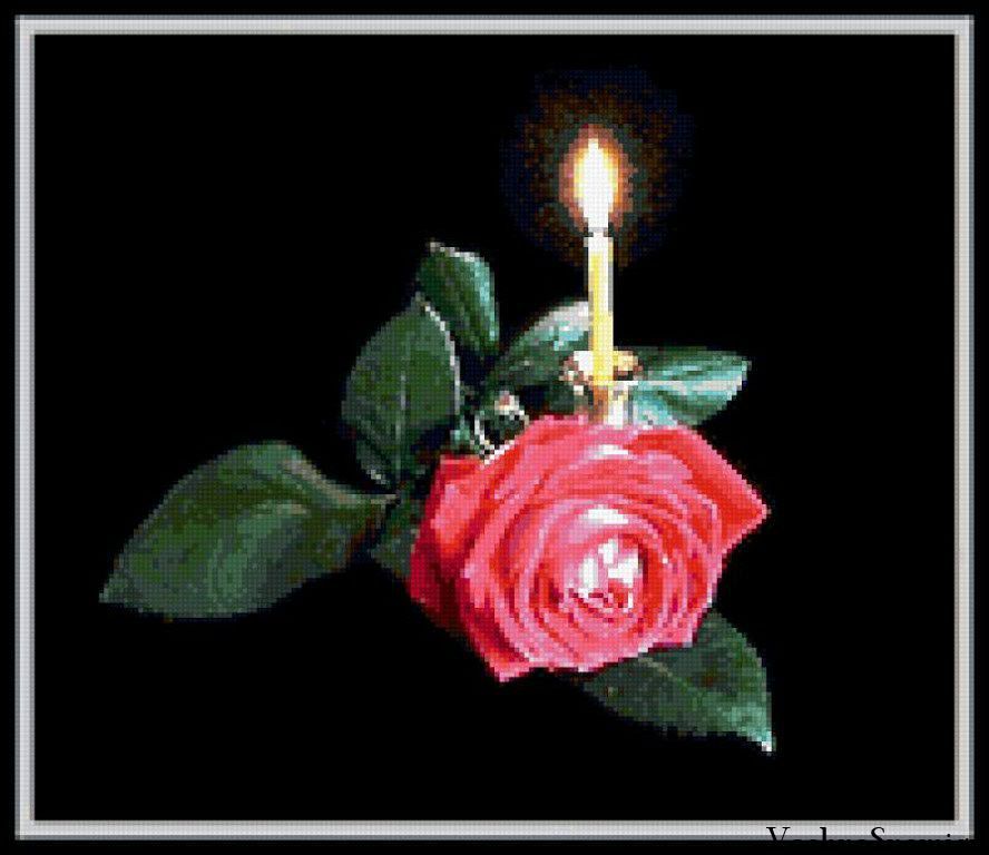Соболезнования на английском. Светлая память. Розы и свечи поминальные. Поминальные цветы. Вечная память цветы.