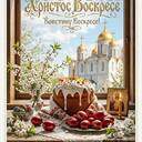 Светлана Харлашина