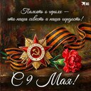 Светлана Харлашина