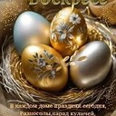 Светлана Харлашина