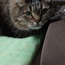 Галина Щербачёва