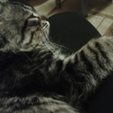 Галина Щербачёва