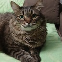 Галина Щербачёва