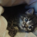 Галина Щербачёва