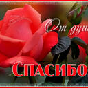  Светлана Васильевна