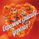  Светлана Васильевна