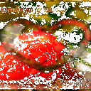 Баширова Флюра Айтугановна