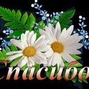 Баширова Флюра Айтугановна