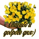 Баширова Флюра Айтугановна