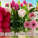 Баширова Флюра Айтугановна