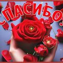 Баширова Флюра Айтугановна