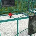 Рахматуллина Гульназ
